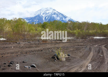 Blick auf den Vulkan Koryaksky bei bedecktem Wetter, Kamtschatka, Russland Stockfoto