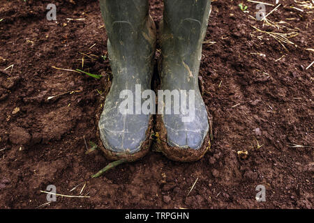 Er schmutzig Landwirt Gummistiefel auf matschigen Landstraße. Agronom ist zu Fuß den Weg durch die Felder nach starkem Regen Sturm. Stockfoto