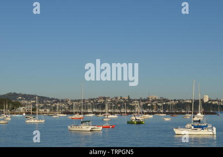 Angelegte Boote am Hafen von Auckland Stockfoto