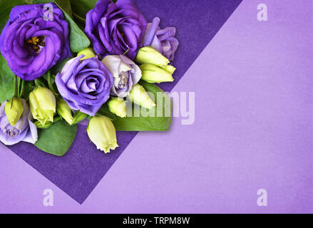 Ecke Anordnung mit lisianthus Blumen auf moderne flach Hintergrund mit Papieren in verschiedenen Farben lila Stockfoto