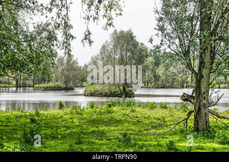 Friedliche Szene mit zwei kleinen Inseln im See von Sträuchern, Büschen und Bäumen, in Munnikenland Naturschutzgebiet umgeben, Die Niederlande Stockfoto