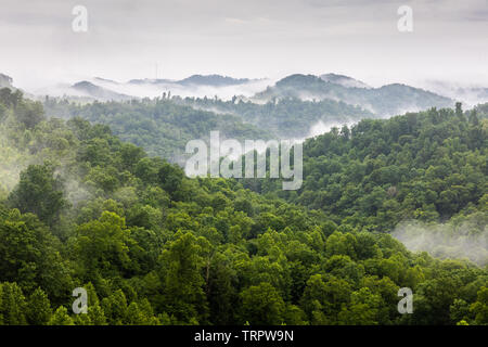Nebel steigt über den Ausläufern in dieser Szene vom Central Appalachia. Stockfoto
