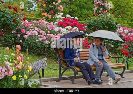 YOKOHAMA, Japan, 20. Mai 2019: Flower Gardens bei Yamashita Park am Wasser in der Hafenstadt Yokohama. Stockfoto