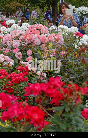 YOKOHAMA, Japan, 20. Mai 2019: Flower Gardens bei Yamashita Park am Wasser in der Hafenstadt Yokohama. Stockfoto