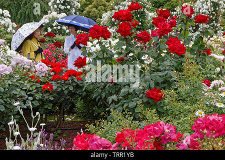 YOKOHAMA, Japan, 20. Mai 2019: Flower Gardens bei Yamashita Park am Wasser in der Hafenstadt Yokohama. Stockfoto