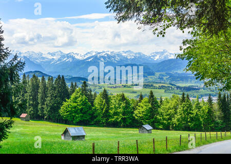 Blühende Natur im oberen Allgäu in der Nähe von Sonthofen Stockfoto