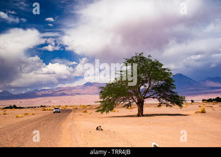 Abwechslungsreiche Landschaft der Wüste in der Nähe von San Pedro de Atacama Stockfoto