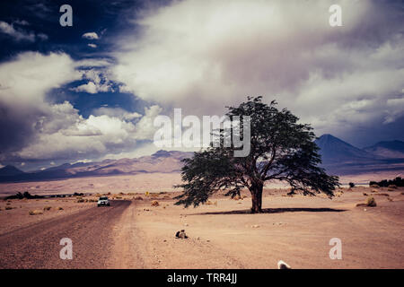 Abwechslungsreiche Landschaft der Wüste in der Nähe von San Pedro de Atacama Stockfoto