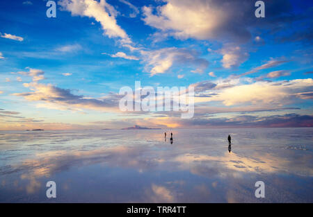 Die Spiegelung der Oberfläche des Salar de Uyuni während der Regenzeit Stockfoto