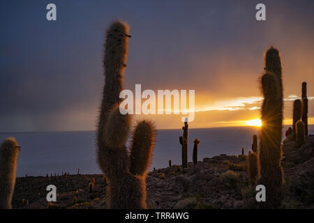 Sonnenaufgang an der Insel Incahuasi, Salar de Uyuni, Bolivien, Südamerika Stockfoto