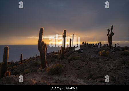 Sonnenaufgang an der Insel Incahuasi, Salar de Uyuni, Bolivien Stockfoto