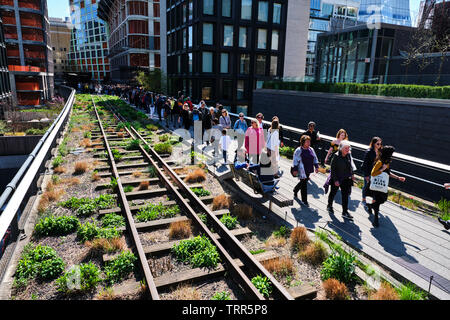 Abgebildet ist die High Line ein 1,45-Meile langen erhöhten linearen Park, Greenway und Rail Trail auf einem ehemaligen New York Central Railroad, USA erstellt. Stockfoto