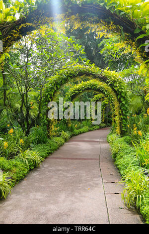 Bezaubernde Laufsteg mit Bogen am National Orchid Garden, Botanischer Garten Singapur, Singapur, Asien Stockfoto
