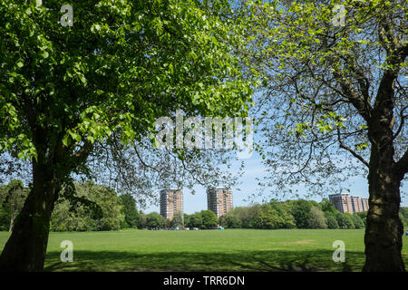 Sefton Park, Park, grün, grün, Oasis, urban, Lunge, Liverpool, Merseyside, Nordirland, Stadt, England, UK, GB, Großbritannien, Europa, Stockfoto