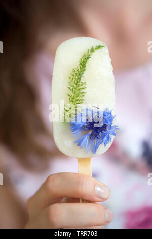 Zitronensorbet Popsicle mit Kornblumen und Karneol Stockfoto