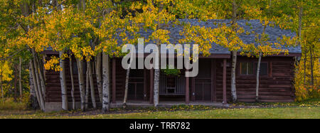 Herbstlaub, Aspen, Hütte am Absaroka Ranch, Wyoming. Stockfoto