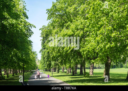 Sefton Park, Park, grün, grün, Oasis, urban, Lunge, Liverpool, Merseyside, Nordirland, Stadt, England, UK, GB, Großbritannien, Europa, Stockfoto