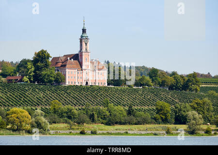 Basilika Birnau in der Mitte der Weinberge Stockfoto