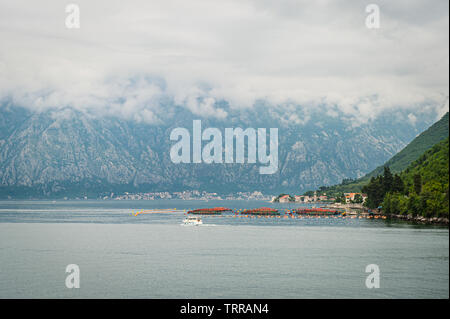 Ein Blick auf die Bucht von Kotor von kostanjica. Stockfoto