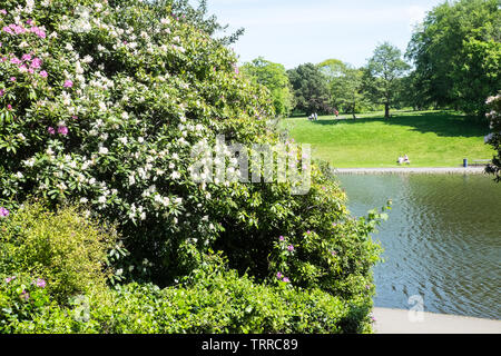 Sefton Park, Park, grün, grün, Oasis, urban, Lunge, Liverpool, Merseyside, Nordirland, Stadt, England, UK, GB, Großbritannien, Europa, Stockfoto