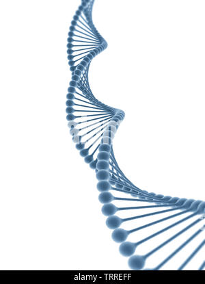 DNA isoliert auf weißem Hintergrund. 3D-Rendering Stockfoto