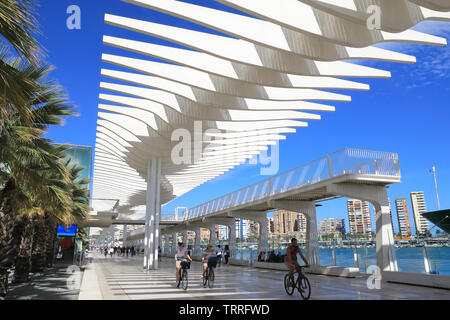 Palmeral de las Sorpresas, die moderne Hafenpromenade im Stadtzentrum von Malaga, an der Costa de Sol und in Andalusien, Spanien, Europa Stockfoto