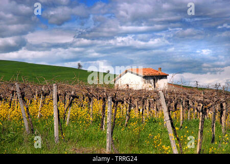 Sonnige Landschaften in der Molise Landschaft im südlichen Italien. Stockfoto