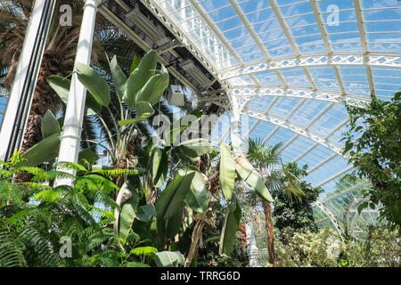 Sefton Park, Park, grün, grün, Oasis, urban, Lunge, Liverpool, Merseyside, Nordirland, Stadt, England, UK, GB, Großbritannien, Europa, Stockfoto