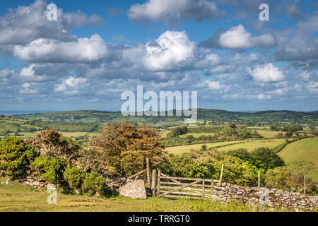 Eine der vielen Grenzen, die die Landschaft von Dartmoor Nationalpark in Devon, England. Stockfoto