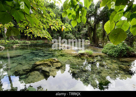 Wasser Reflexionen über eine landschaftlich reizvolle Strecke des Rarru Rentapao River in der Nähe von Port Vila, Efate Island, Vanuatu, Melanesien Stockfoto