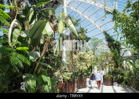 Sefton Park, Park, grün, grün, Oasis, urban, Lunge, Liverpool, Merseyside, Nordirland, Stadt, England, UK, GB, Großbritannien, Europa, Stockfoto