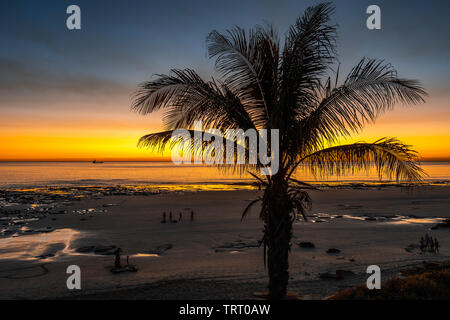 Palmen bei Sonnenuntergang am Cable Beach in Broome, Western Australia Stockfoto