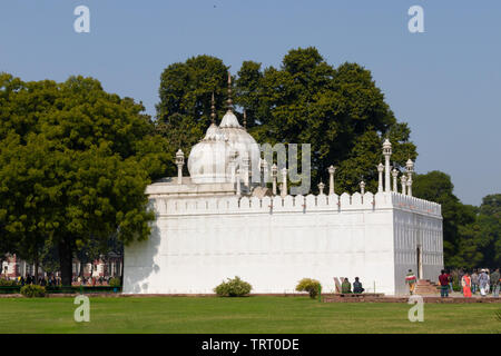 Moti Masjid in Red Fort, Delhi, Indien. Auch bekannt als Perle Moschee, es liegt westlich des Hamam. Es war im Jahre 1659 als eine private Moschee für Aurangz gebaut Stockfoto