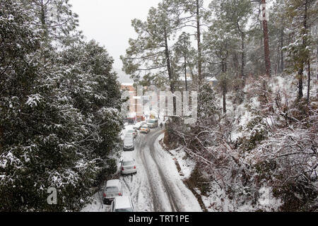 Banikhet, Dalhousie, Himachal Pradesh, Indien - Januar 2019. Folgen der schweren Schneefälle, die Straße und geparkte Autos sind mit Schnee bedeckt, Schneeflocke Stockfoto