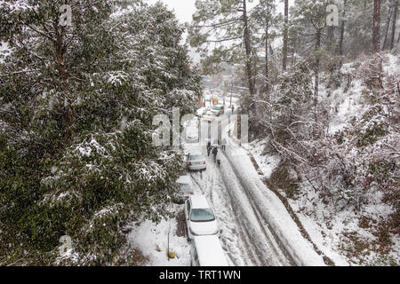 Banikhet, Dalhousie, Himachal Pradesh, Indien - Januar 2019. Folgen der schweren Schneefälle, die Straße und geparkte Autos sind mit Schnee bedeckt, Schneeflocke Stockfoto