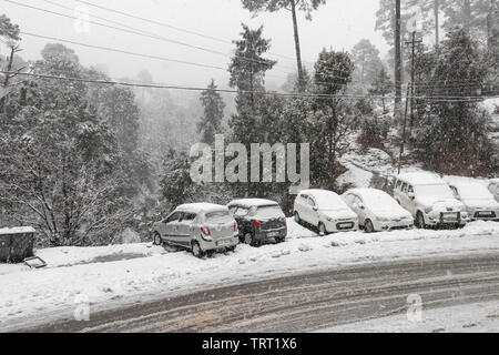 Banikhet, Dalhousie, Himachal Pradesh, Indien - Januar 2019. Folgen der schweren Schneefälle, die Straße und geparkte Autos sind mit Schnee bedeckt, Schneeflocke Stockfoto