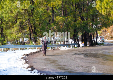 Banikhet, Dalhousie, Himachal Pradesh, Indien - Januar 2019. Nach Konsequenzen der schweren Schneefälle, lokale Person zu Fuß auf der Straße. Stockfoto