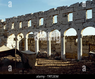 Syrien. Ruweiha. Tote Städte oder vergessene Städte. Northwest Syrien. Römische Reich byzantinische Christentum. 1. bis 7. Jahrhundert, zwischen 8.-10. Jahrhundert aufgegeben. Überreste einer Portikus. Unesco-Weltkulturerbe. Historische Fotografie (vor dem syrischen Bürgerkrieg). Stockfoto