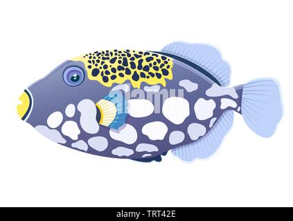 Drückerfische Fisch clown, Flachbild cartoon realistische zeichnung, Hand gezeichnet Meer Tier, maritimen Charakter. Bunte violett gelb Fisch mit weißen Flecken niedlich, Stock Vektor