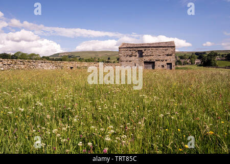 Wensleydale, in der Nähe von Askrigg Stockfoto