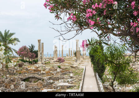 Kolonnade in Al Mina archäologische Stätte, Reifen, Libanon Stockfoto