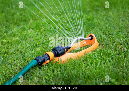 Rasen Bewässerung - Sprinkler im grünen Gras zu Hause Hinterhof arbeiten Stockfoto