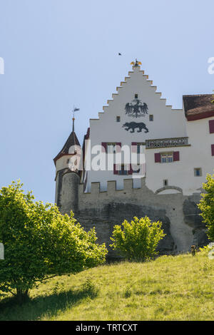 Lenzburg, AG/Schweiz - vom 2. Juni 2019: Detailansicht des historischen Schlosses in Lenzburg im Schweizer Kanton Aargau Stockfoto