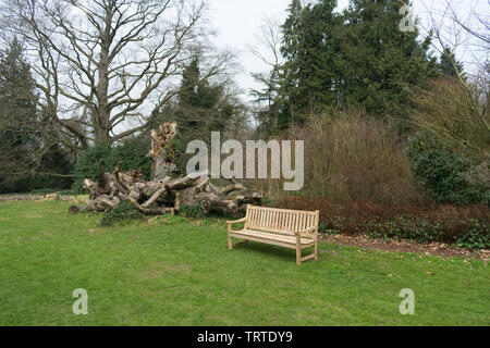 Eine Parkbank an einem alten toten Baum Stockfoto