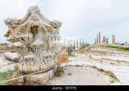 Römische Korinthischen Säule Kapital an der Seite von Mosaik Road, Al Mina archäologische Stätte, Reifen, Libanon Stockfoto