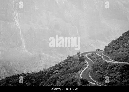 Schwarz-weiß Fotografie des Zuges, Hügel, Serpentine. Teneriffa, Spanien, Kanarische Inseln. Landschaft. Langsames Fahren. Stockfoto