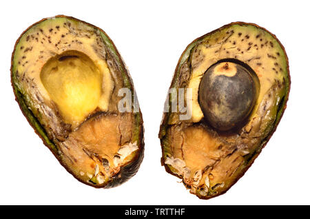 Faule avocado Halbieren Stockfoto