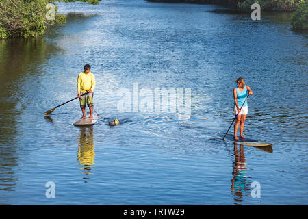 Oahu, Hawaii, USA 10/06/2016. Mann Frau Paddle Boarding zusammen mit Hund NorthShore von Oahu Stockfoto