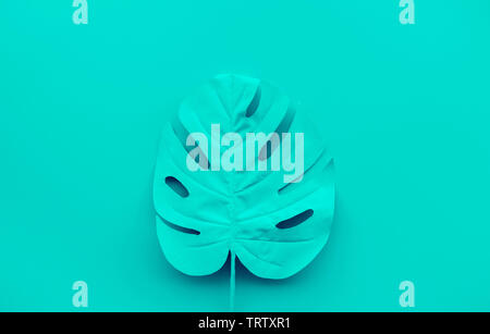 Sammlung von tropischen Blätter, Laub Anlage in blauer Farbe mit Raum Hintergrund. Abstrakte leaf Dekoration Design. Exotische Natur, das für die Vorlage Stockfoto