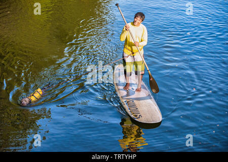 Oahu, Hawaii, USA 10/06/2016. Mann Paddle Boarding zusammen mit Hund NorthShore von Oahu Stockfoto